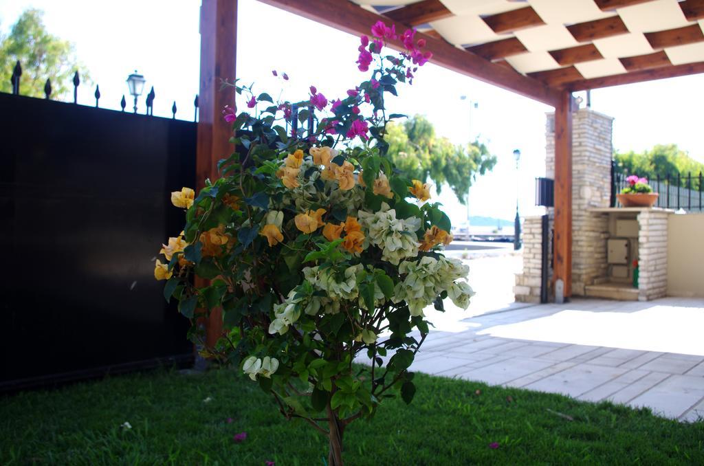 Amaryllis Holiday Home Agios Spyridon  Εξωτερικό φωτογραφία